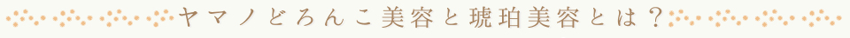 ヤマノどろんこ美容と琥珀美容とは?