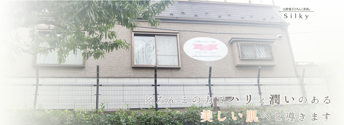 Silky(シルキー)の外観